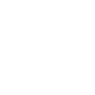 logo white